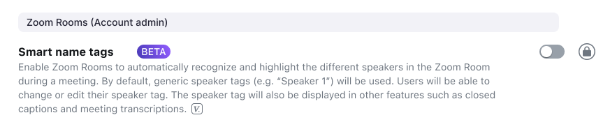 Manual and automatic smart name tag options