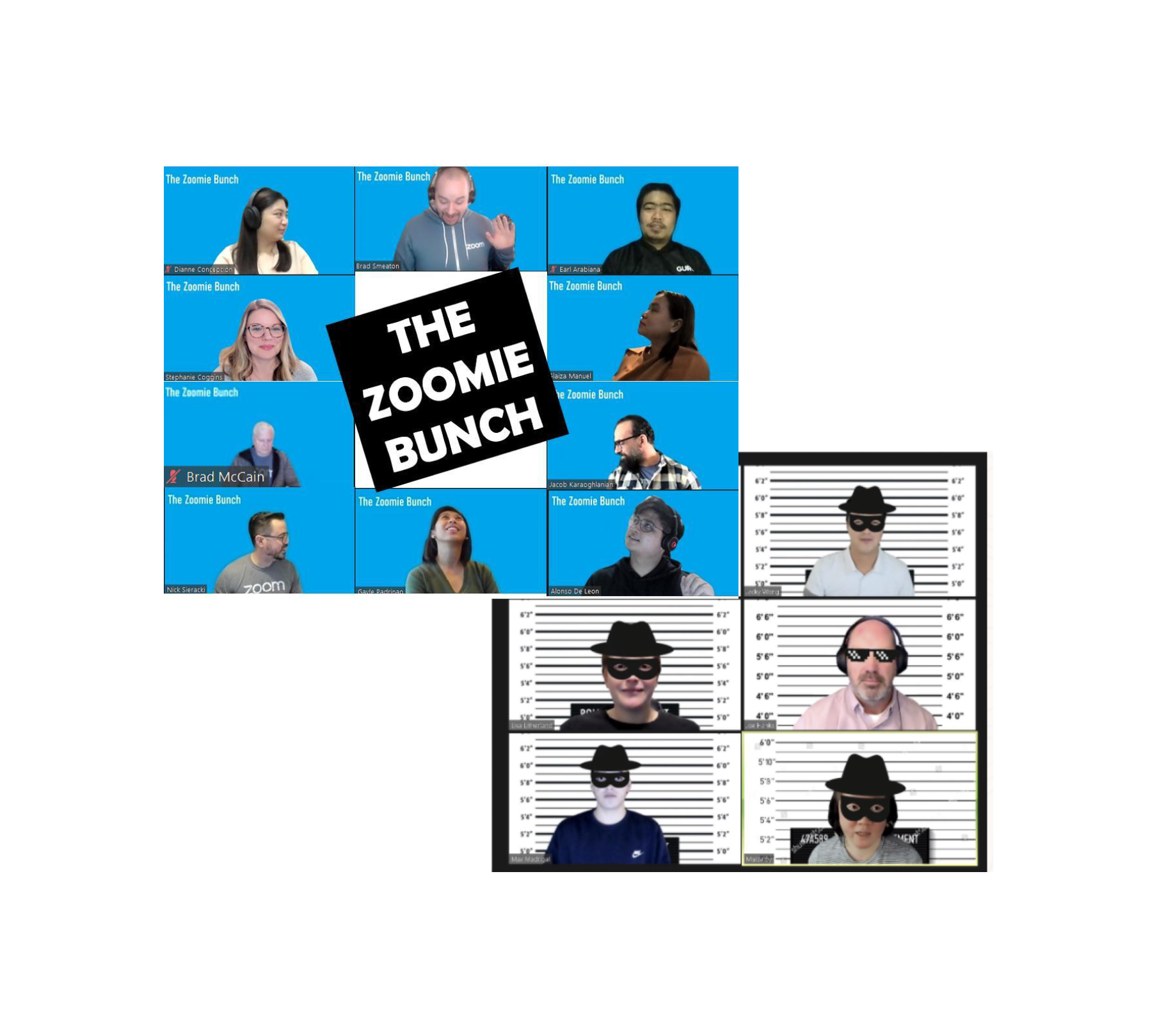 The Zoomie Bunch - video grid and team mugshots