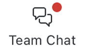 Team Chat product name in title case